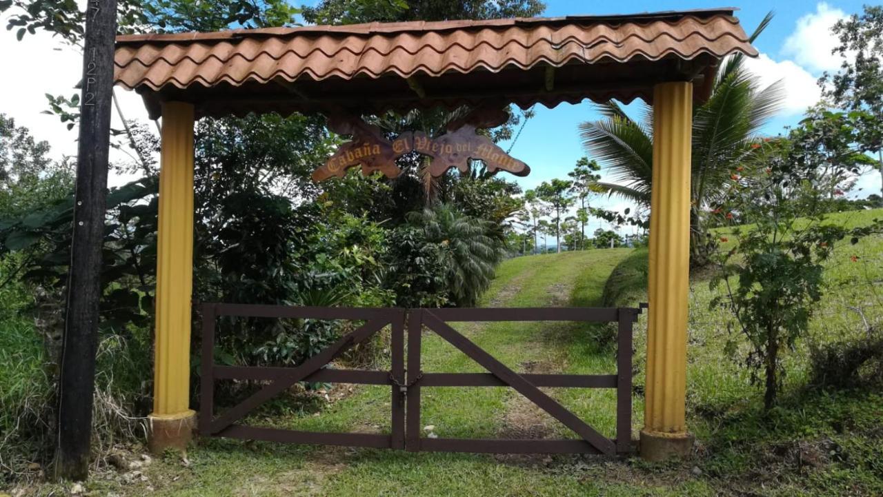 Cabana El Viejo Del Monte Venecia ภายนอก รูปภาพ